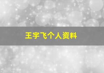 王宇飞个人资料