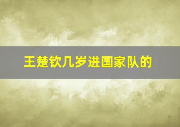 王楚钦几岁进国家队的