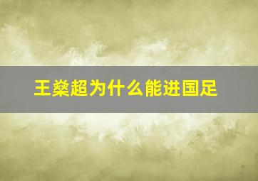 王燊超为什么能进国足