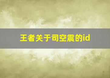 王者关于司空震的id