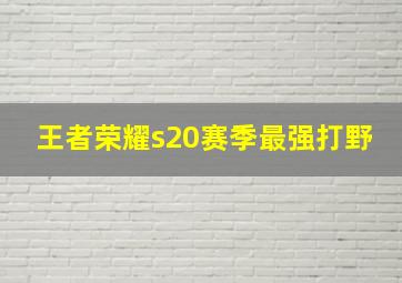 王者荣耀s20赛季最强打野