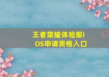 王者荣耀体验服iOS申请资格入口