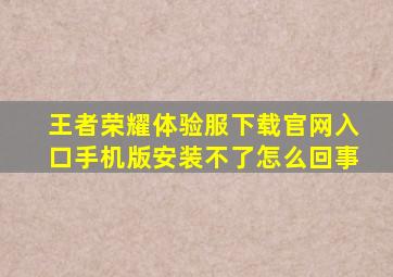 王者荣耀体验服下载官网入口手机版安装不了怎么回事