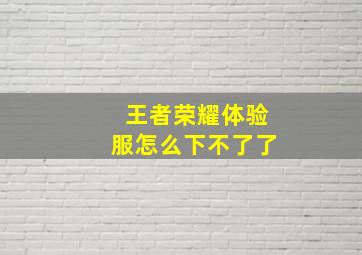 王者荣耀体验服怎么下不了了