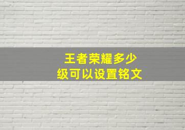 王者荣耀多少级可以设置铭文