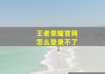 王者荣耀官网怎么登录不了