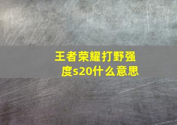 王者荣耀打野强度s20什么意思