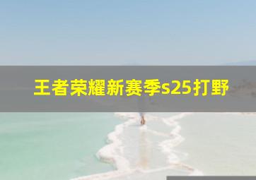 王者荣耀新赛季s25打野