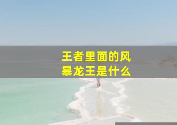 王者里面的风暴龙王是什么