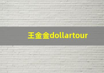 王金金dollartour