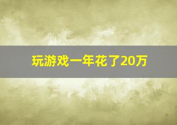 玩游戏一年花了20万