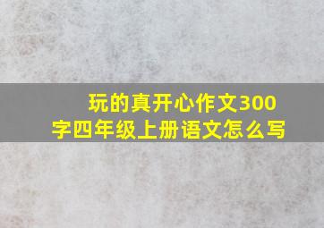 玩的真开心作文300字四年级上册语文怎么写