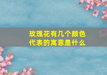 玫瑰花有几个颜色代表的寓意是什么