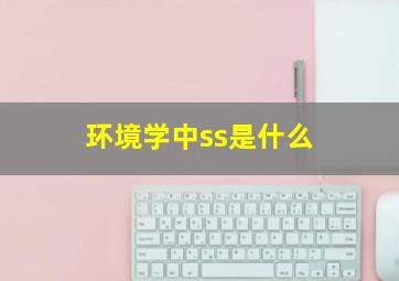 环境学中ss是什么