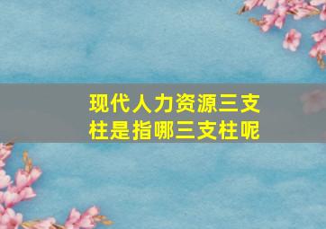 现代人力资源三支柱是指哪三支柱呢