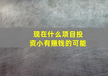 现在什么项目投资小有赚钱的可能