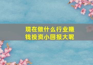 现在做什么行业赚钱投资小回报大呢