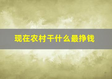 现在农村干什么最挣钱