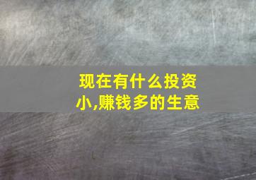 现在有什么投资小,赚钱多的生意