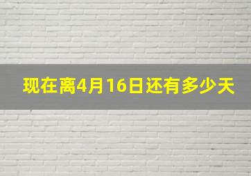 现在离4月16日还有多少天