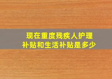 现在重度残疾人护理补贴和生活补贴是多少