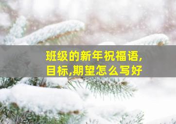 班级的新年祝福语,目标,期望怎么写好