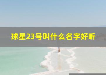 球星23号叫什么名字好听