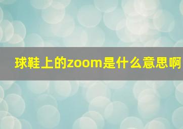 球鞋上的zoom是什么意思啊