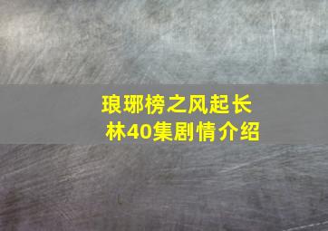 琅琊榜之风起长林40集剧情介绍