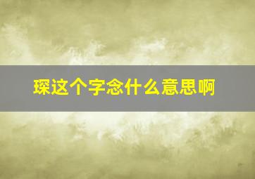 琛这个字念什么意思啊