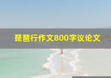 琵琶行作文800字议论文