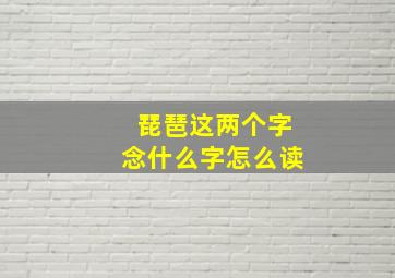 琵琶这两个字念什么字怎么读