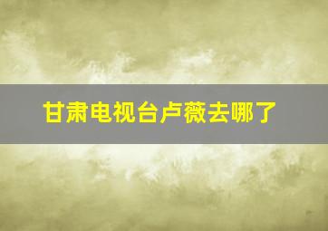 甘肃电视台卢薇去哪了