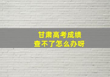 甘肃高考成绩查不了怎么办呀