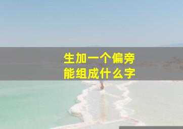 生加一个偏旁能组成什么字