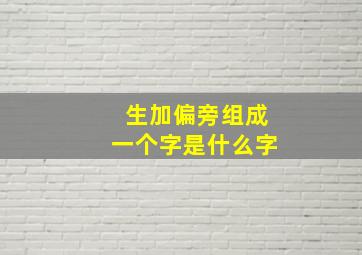 生加偏旁组成一个字是什么字