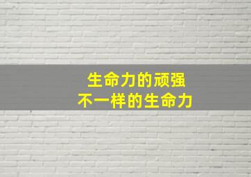 生命力的顽强不一样的生命力