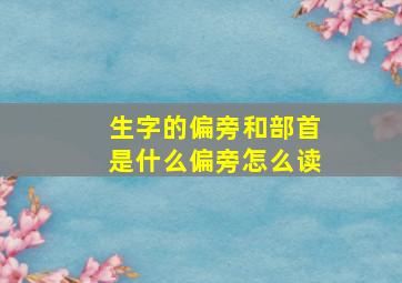 生字的偏旁和部首是什么偏旁怎么读