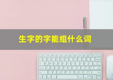 生字的字能组什么词