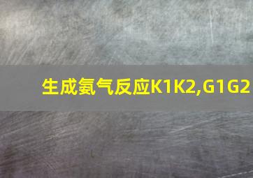 生成氨气反应K1K2,G1G2