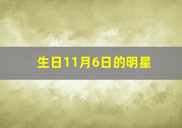 生日11月6日的明星