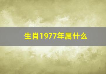 生肖1977年属什么