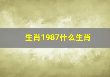 生肖1987什么生肖