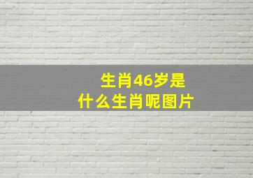 生肖46岁是什么生肖呢图片