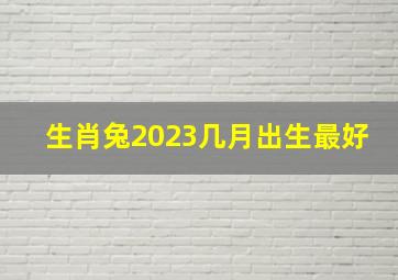 生肖兔2023几月出生最好