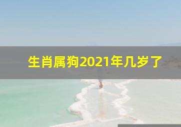 生肖属狗2021年几岁了