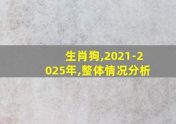 生肖狗,2021-2025年,整体情况分析