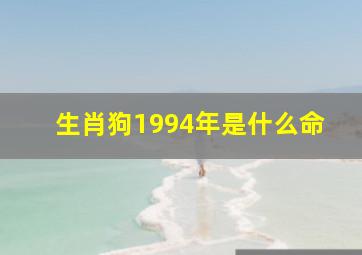 生肖狗1994年是什么命