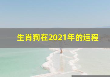 生肖狗在2021年的运程