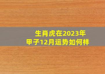 生肖虎在2023年甲子12月运势如何样